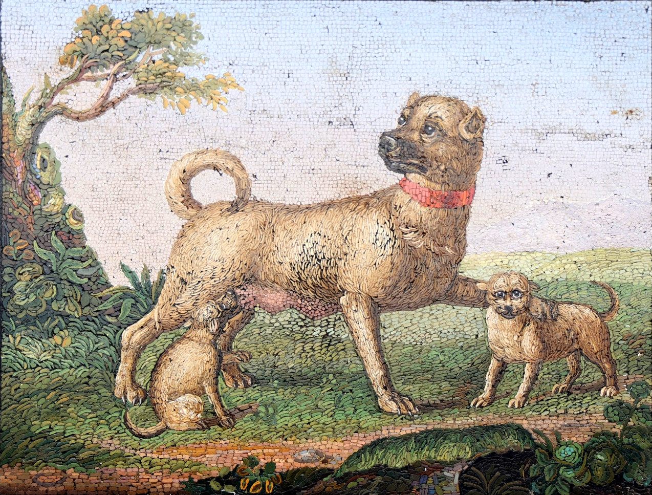 hd_item_4661127_1bc75d065d